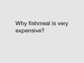 Why fishmeal is very expensive?