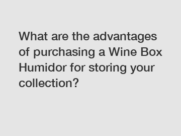 What are the advantages of purchasing a Wine Box Humidor for storing your collection?