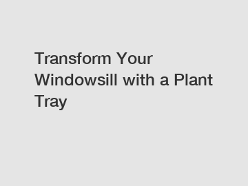 Transform Your Windowsill with a Plant Tray