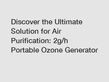 Discover the Ultimate Solution for Air Purification: 2g/h Portable Ozone Generator