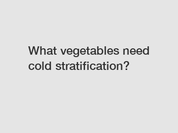 What vegetables need cold stratification?