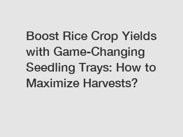 Boost Rice Crop Yields with Game-Changing Seedling Trays: How to Maximize Harvests?