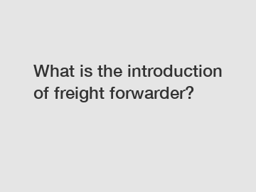 What is the introduction of freight forwarder?