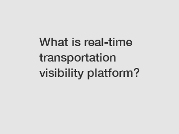 What is real-time transportation visibility platform?