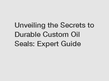 Unveiling the Secrets to Durable Custom Oil Seals: Expert Guide