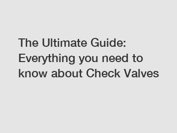 The Ultimate Guide: Everything you need to know about Check Valves