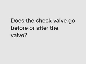 Does the check valve go before or after the valve?