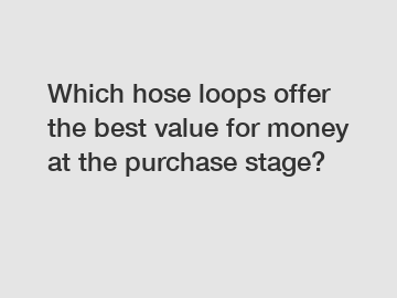 Which hose loops offer the best value for money at the purchase stage?