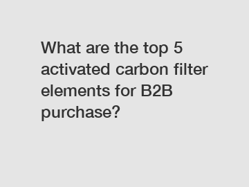 What are the top 5 activated carbon filter elements for B2B purchase?