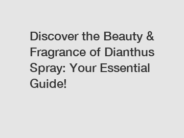 Discover the Beauty & Fragrance of Dianthus Spray: Your Essential Guide!