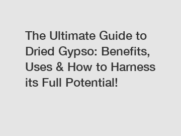 The Ultimate Guide to Dried Gypso: Benefits, Uses & How to Harness its Full Potential!