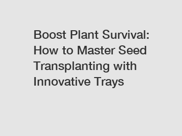 Boost Plant Survival: How to Master Seed Transplanting with Innovative Trays