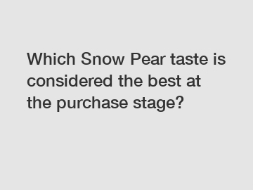 Which Snow Pear taste is considered the best at the purchase stage?