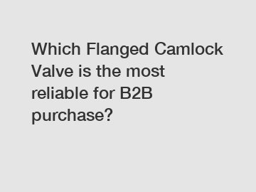 Which Flanged Camlock Valve is the most reliable for B2B purchase?