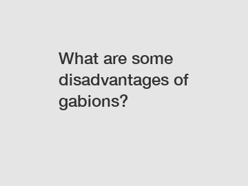 What are some disadvantages of gabions?