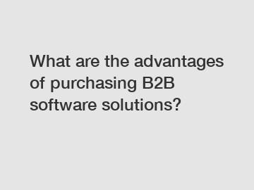 What are the advantages of purchasing B2B software solutions?