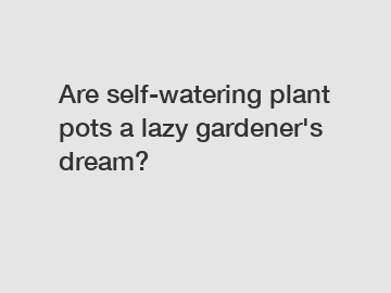 Are self-watering plant pots a lazy gardener's dream?