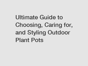 Ultimate Guide to Choosing, Caring for, and Styling Outdoor Plant Pots