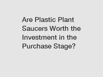 Are Plastic Plant Saucers Worth the Investment in the Purchase Stage?