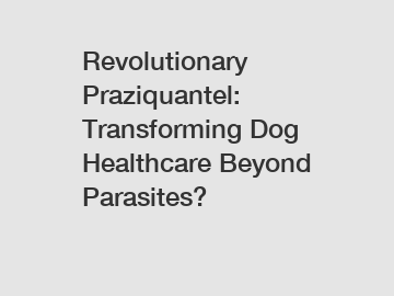 Revolutionary Praziquantel: Transforming Dog Healthcare Beyond Parasites?