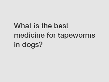 What is the best medicine for tapeworms in dogs?