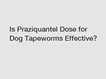 Is Praziquantel Dose for Dog Tapeworms Effective?