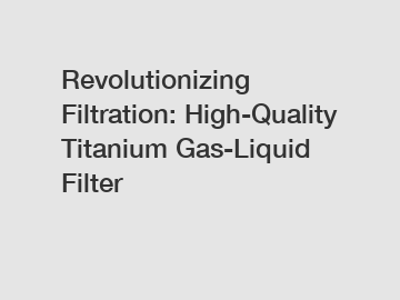 Revolutionizing Filtration: High-Quality Titanium Gas-Liquid Filter