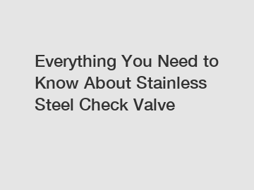 Everything You Need to Know About Stainless Steel Check Valve