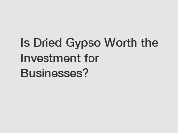 Is Dried Gypso Worth the Investment for Businesses?