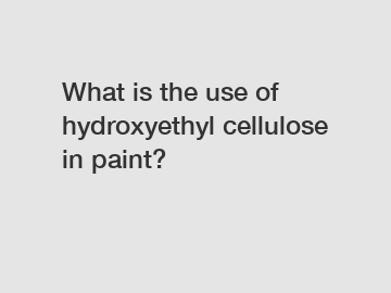 What is the use of hydroxyethyl cellulose in paint?