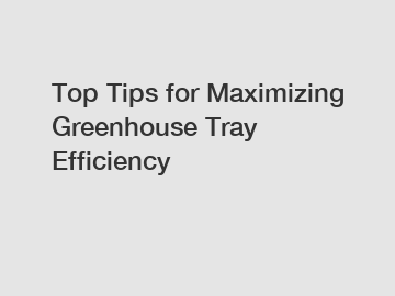 Top Tips for Maximizing Greenhouse Tray Efficiency