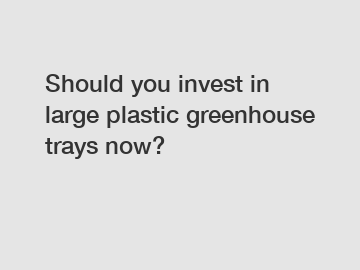 Should you invest in large plastic greenhouse trays now?