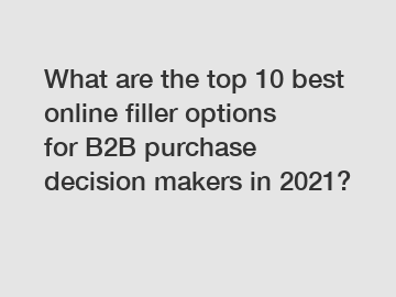 What are the top 10 best online filler options for B2B purchase decision makers in 2021?