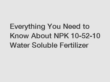 Everything You Need to Know About NPK 10-52-10 Water Soluble Fertilizer