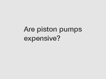 Are piston pumps expensive?