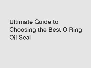 Ultimate Guide to Choosing the Best O Ring Oil Seal