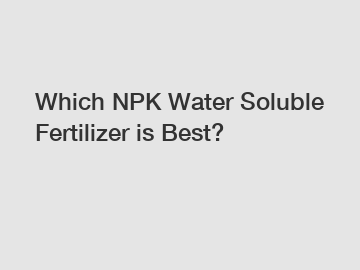 Which NPK Water Soluble Fertilizer is Best?