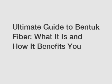Ultimate Guide to Bentuk Fiber: What It Is and How It Benefits You