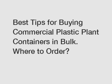 Best Tips for Buying Commercial Plastic Plant Containers in Bulk. Where to Order?