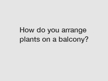 How do you arrange plants on a balcony?