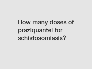 How many doses of praziquantel for schistosomiasis?