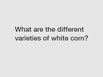 What are the different varieties of white corn?