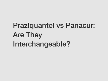 Praziquantel vs Panacur: Are They Interchangeable?