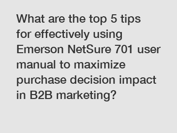 What are the top 5 tips for effectively using Emerson NetSure 701 user manual to maximize purchase decision impact in B2B marketing?