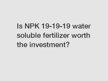 Is NPK 19-19-19 water soluble fertilizer worth the investment?