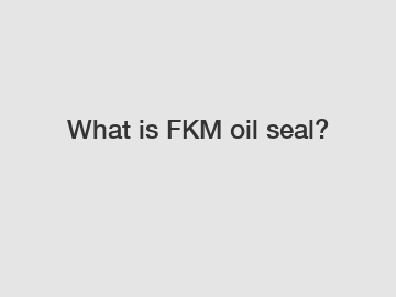 What is FKM oil seal?