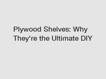 Plywood Shelves: Why They're the Ultimate DIY 