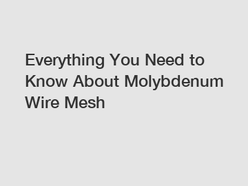 Everything You Need to Know About Molybdenum Wire Mesh