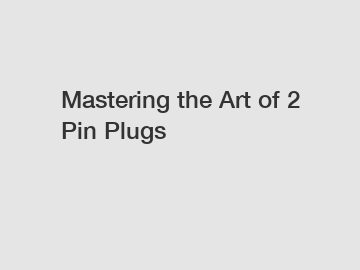 Mastering the Art of 2 Pin Plugs