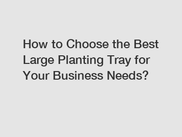 How to Choose the Best Large Planting Tray for Your Business Needs?